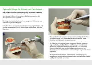 Darstellung einer professionellen Zahnreinigung